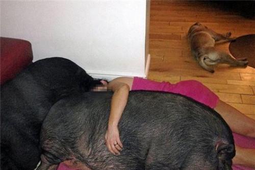 娱乐吃瓜酱女生统一逻辑