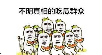 什么叫吃瓜群众视频,网络视频中的围观现象解析